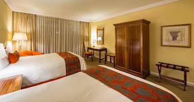 Photos of Camino Real