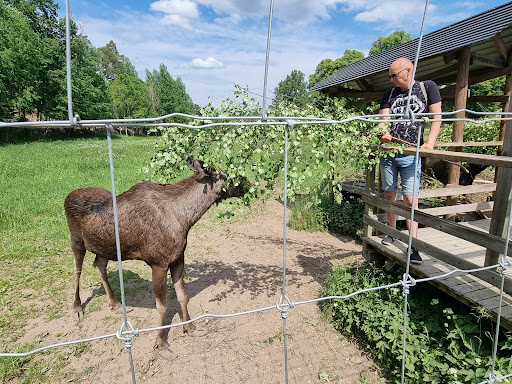 Målilla Elk Park - Thumbnail