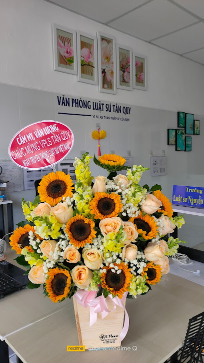 Văn phòng Luật sư Tân Quy