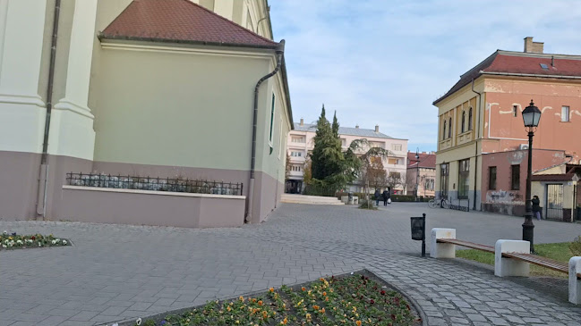 Bajai III. Béla Gimnázium