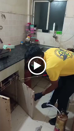 Best cockroach treatment nearby New barrackpore post image
