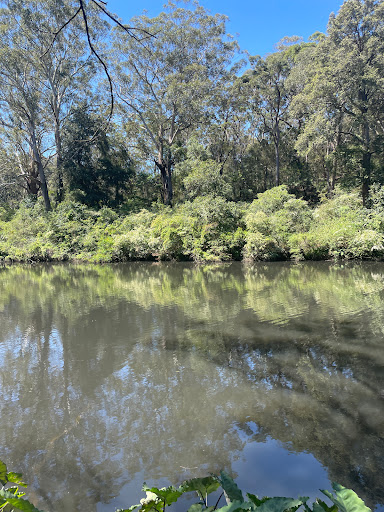 Koonjeree Picnic Area - Thumbnail