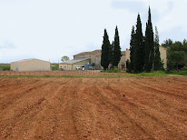 Domaine de Virgile à Vauvert