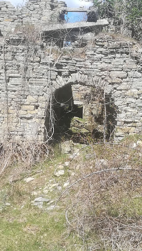 Vesina - Visual
