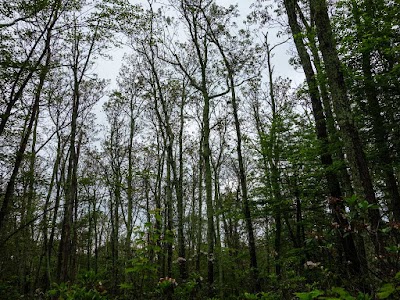 Milesburn Cabin (PATC), Shippensburg, PA