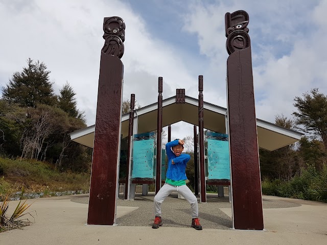 Te Waikoropupu Springs