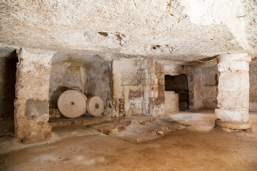 Tour e degustazione olio Evo - Masseria Pezze d'Aglio - Frantoio Ipogeo XIII Sec. - Thumbnail