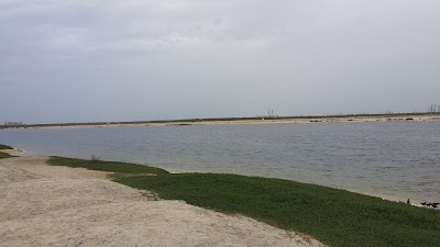Photos of ممشى الصفيا