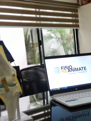 FISIOREANÍMATE - Visual