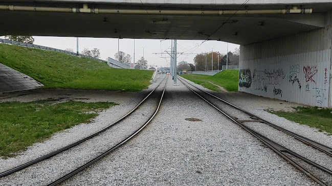 Zagrebački Rotor - Zagreb