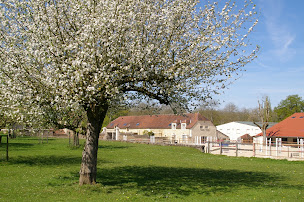 Photo n°3 de Ferme équestre de Lagesse à Lagesse (Lodge)
