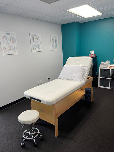 St Pete Physio - Visual