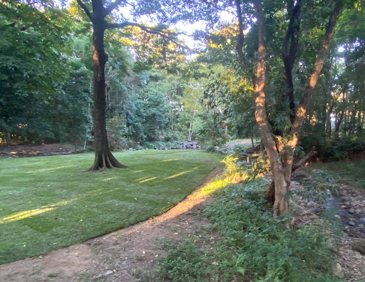 Ben Wilson Park - Thumbnail