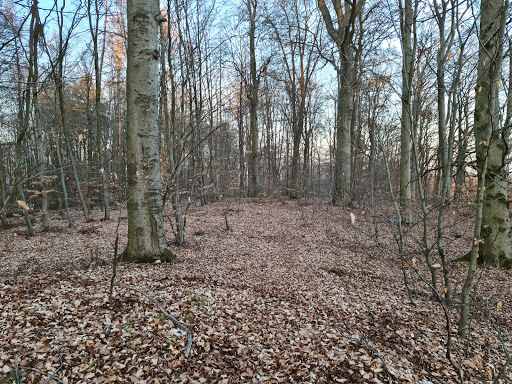 Hügelgräber/Römerhügel
