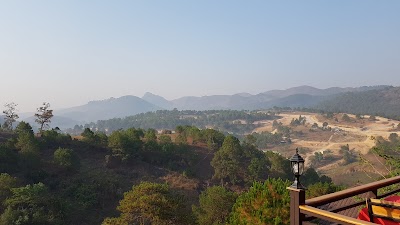 Photos of Pine Land Oasis Hotel