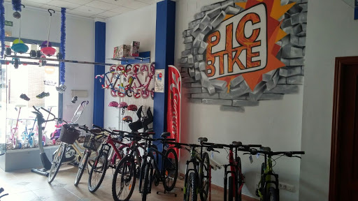 Pic Bike - Visual