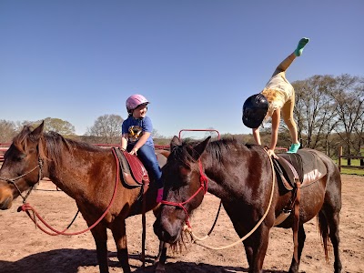 Dark Horse Horsemanship & Hearts in Harmony