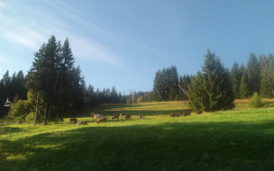 Photo n°10 de Restaurant la Causette à Saint-Gervais-les-Bains (Restaurant méditerranéen)