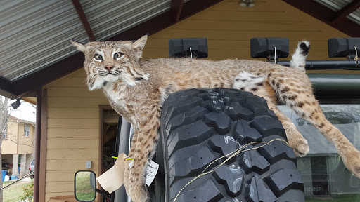 Bar S Taxidermy & Deer Processing. Call ahead for after hours. - Thumbnail