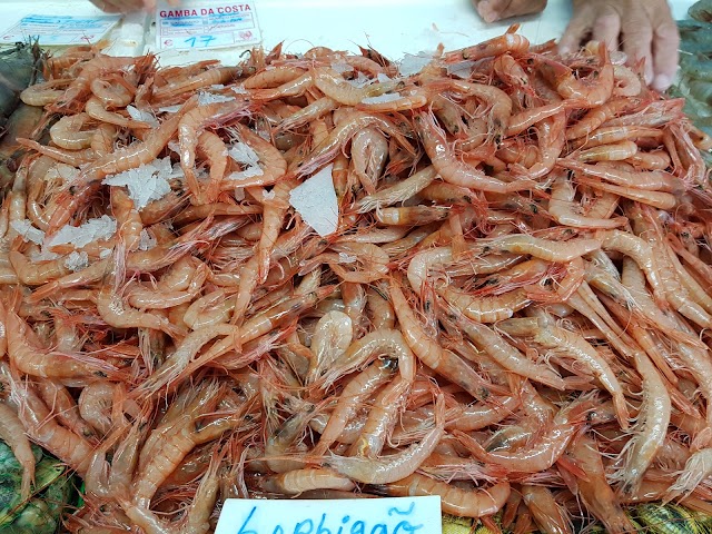 Mercado do Peixe