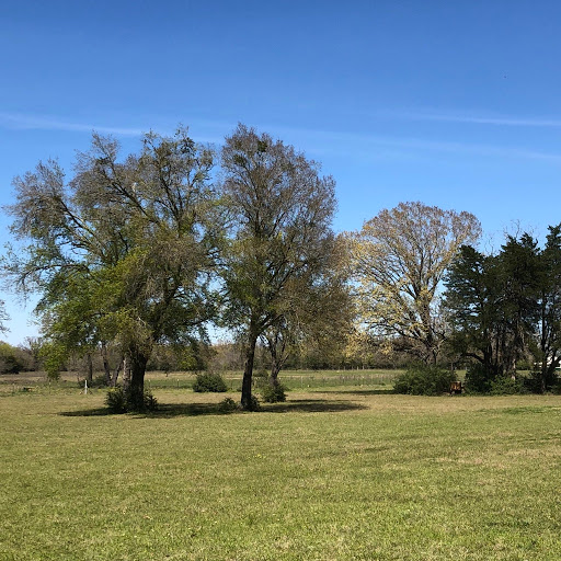 Hollydew Farm - Thumbnail