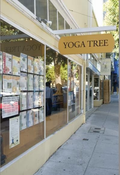 Yoga Tree Hayes