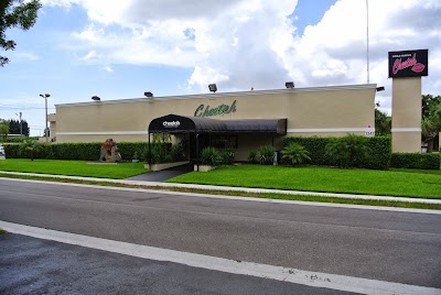 Photos of Cheetah Palm Beach