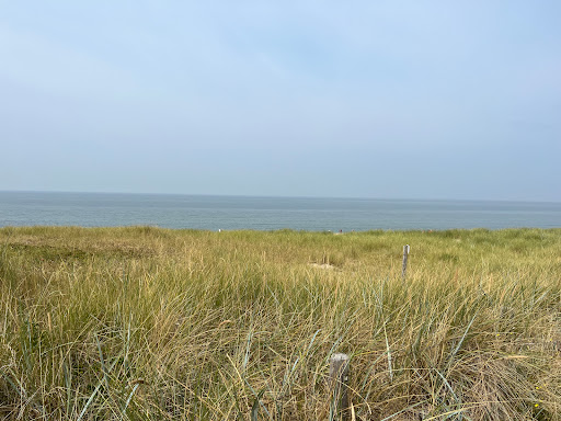 Dunecallantsoog - Thumbnail