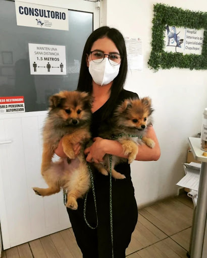 Hospital Veterinario De Especialidades Chapultepec