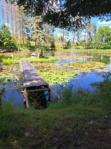 Seerosenteich an der Winde - Thumbnail