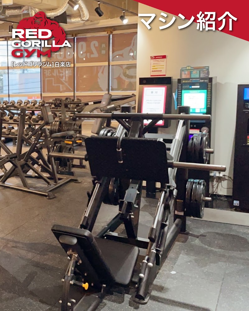レッドゴリラジム白楽店