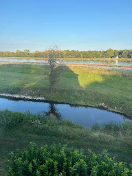 Photo n°19 de L'intemporel à Drusenheim (Restaurant français)