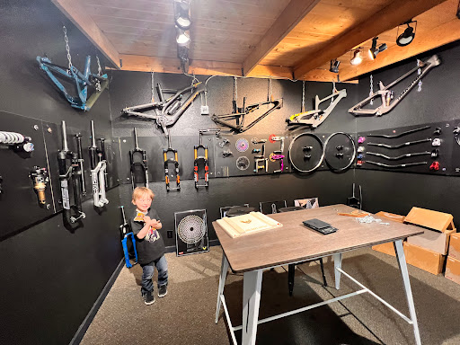 Project Bike - Visual