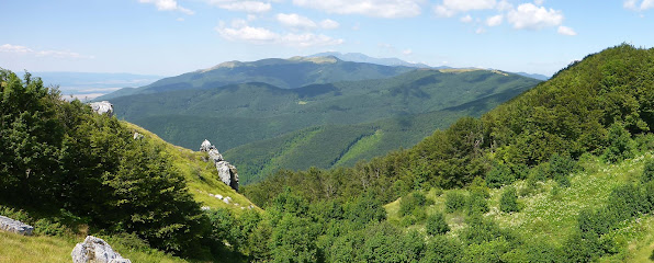 Travel Plus - специализиран туроператор