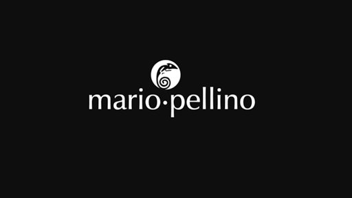 Mario Pellino - Visual