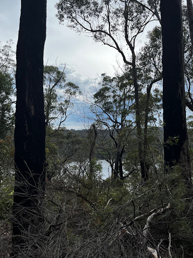 Top Lake, Mallacoota Inlet - Thumbnail