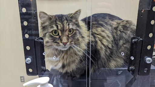 Rathburn Animal Clinic