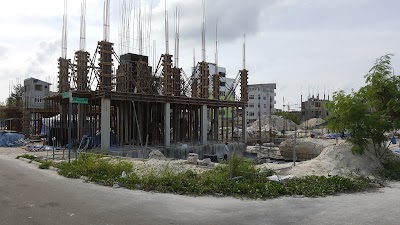 Photos of Dhi Colors