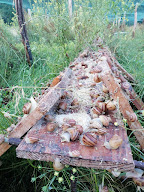 les Escargots d'Amandine à La Chapelle-Thècle