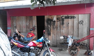 Photos of Belon Travel