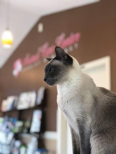 Animal Care Center of Somerset Gallery - United States