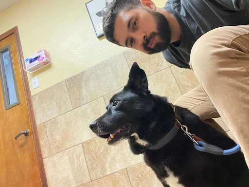 North Star 410 Animal Hospital - United States