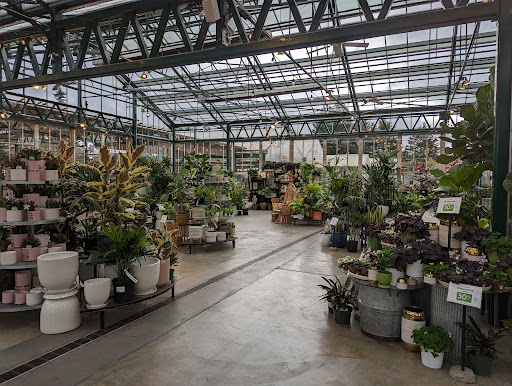 Swansons Nursery - Thumbnail