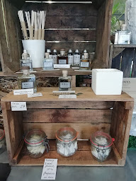 Photo n°53 de CACTUS CRÉATION à Saint-Chamond (Fleuriste)