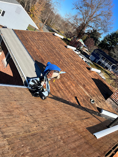 Avatar for Lion King Construction LLC