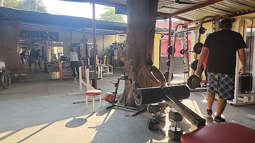 Carlos Gym - Thumbnail