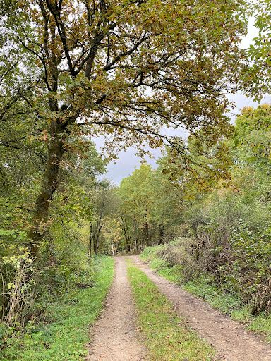 Homert - Glinsenbecke Nature Park - Thumbnail