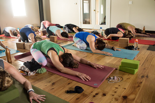 Treetop Yoga Studio - Thumbnail