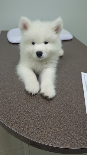 Bethany Centennial Animal Hospital - Thumbnail