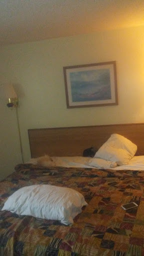Carousel Inn - Visual